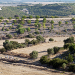 Proje Tanıtımı